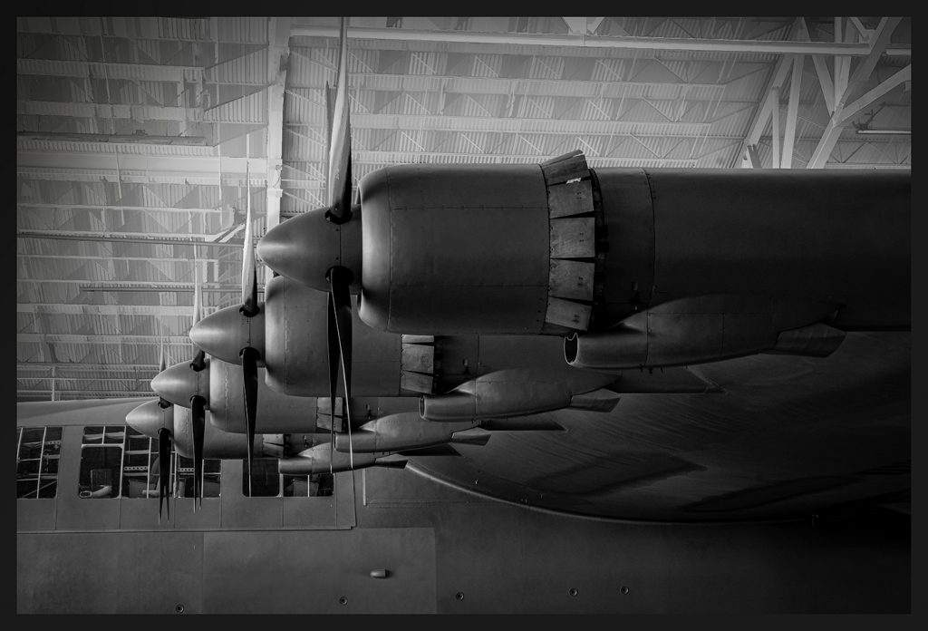 Spruce Goose - George Peterson